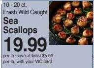 Harris Teeter Sea scallops offer
