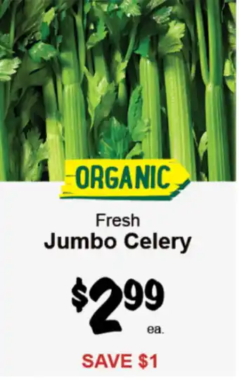 Fresh Jumbo Celery