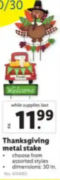 Lidl Thanksgiving Metal Stake offer
