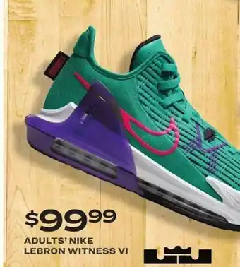 Academy Adults' nike lebron witness vi offer