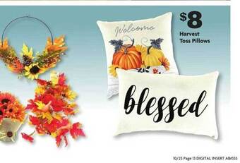 Family Dollar Harvest toss pillows offer