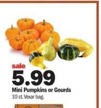 Meijer Mini pumpkins or gourds offer