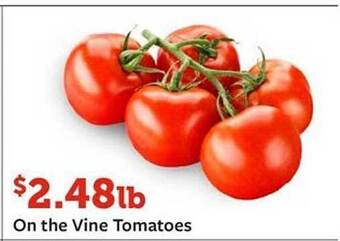 Fareway On the vine tomatoes offer