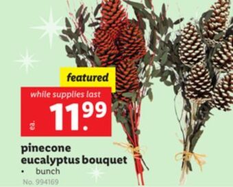 Lidl Pinecone eucalyptus bouquet offer