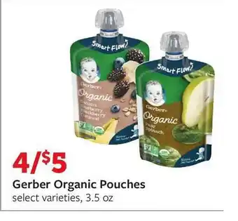 Fareway Gerber Organic Pouches offer