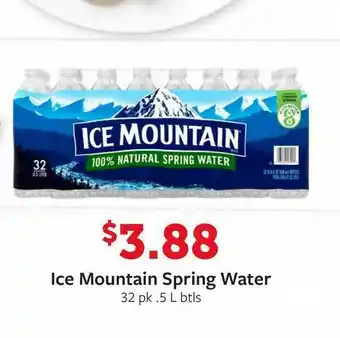 Fareway Ice Mountain Spring Water offer