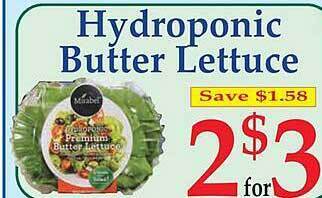 Market Basket Hydroponic butter lettuce offer