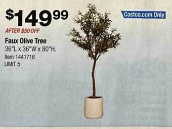 Costco Faux olive tree offer