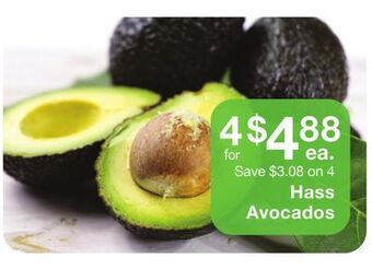 Fairway Store Market Hass avocados offer