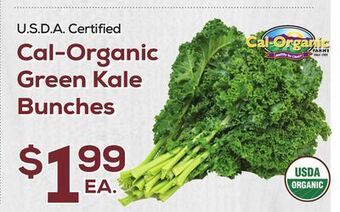 DeCicco & Sons Cal-organic green kale bunches offer