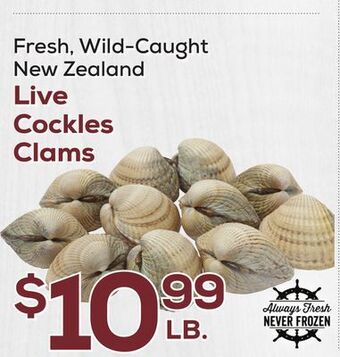 DeCicco & Sons Live cockles clams offer