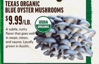 Central Market Texas organic blue oyster mushrooms offer