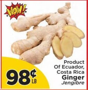 Presidente Ginger offer
