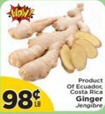 Presidente Ginger offer