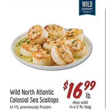 Sprouts Farmers Market Wild north atlantic colossal sea scallops offer