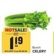 Food Lion Celery offer