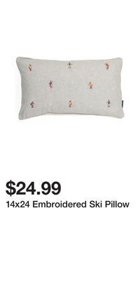 TJ Maxx 14x24 embroidered ski pillow offer