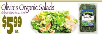 Wild By Nature Olivia's organic salads offer