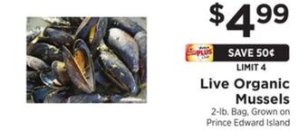 ShopRite Live organic mussels offer