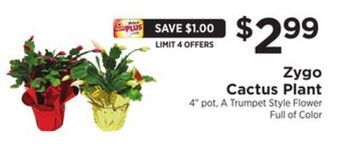ShopRite Zygo cactus plant offer