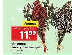 Lidl Pinecone eucalyptus bouquet offer