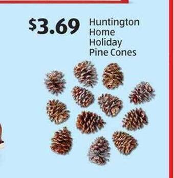 Aldi Huntington home holiday pine cones offer