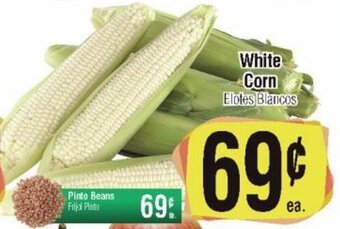 White Corn