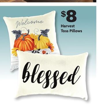 Family Dollar Harvest toss pillows offer