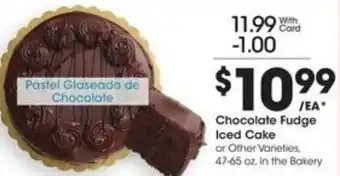 Chocolate Fudge Iced Cake