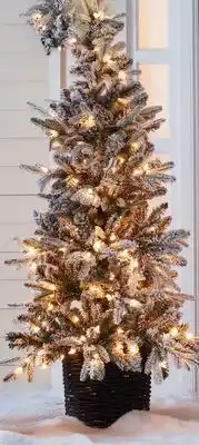 Bee & willow™ 5-foot flocked fir artificial porch christmas tree with clear lights
