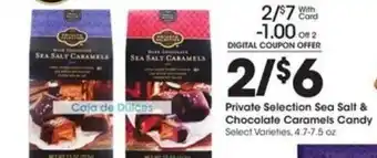 Private Selection Sea Salt & Chocolate Caramels Candy