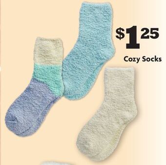 Family Dollar Cozy socks offer