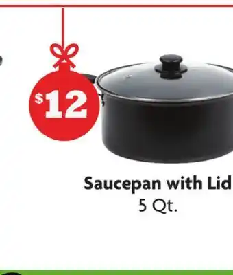Family Dollar Saucepan with lid offer