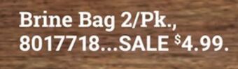 Ace Hardware Brine bag offer