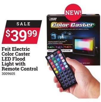 Ace Hardware Feit electric color caster led flood light with remote control offer