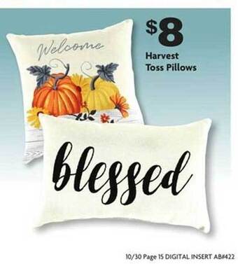 Family Dollar Harvest toss pillows offer