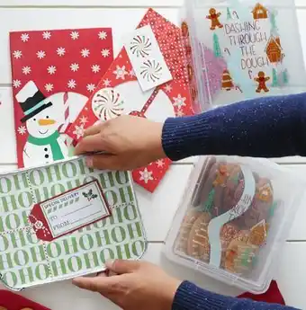 Christmas Tree Shops 2-pk. cookie containers offer