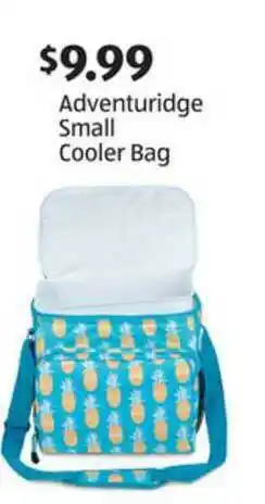 Adventuridge Small Cooler Bag