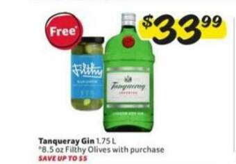 Winn Dixie Tanqueray Gin 1.75l offer