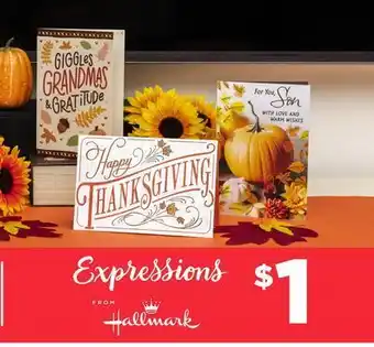 Expressions thanksgiving greeting cards