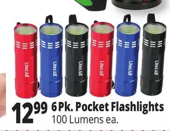 Ocean State Job Lot 6pk. pocket flashlights offer