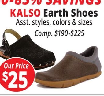 Ocean State Job Lot Kalso earth shoes offer