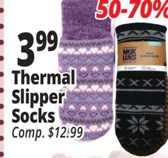 Ocean State Job Lot Thermal slipper socks offer