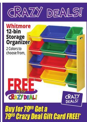 Ocean State Job Lot Whitmore 12-bin storage organizer offer
