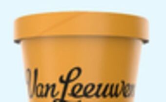 Kings Food Markets Vanleeuwen ice cream offer