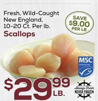 DeCicco & Sons Scallops offer