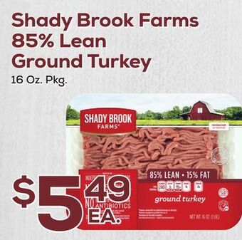 DeCicco & Sons Shady brook farms 85% lean ground turkey offer