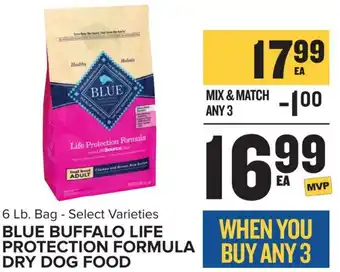 Food Lion Blue Buffalo Life Protection Formula Dry Dog Food offer