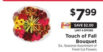 ShopRite Touch of fall bouquet offer
