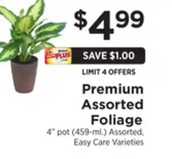 ShopRite Premium assorted foliage offer